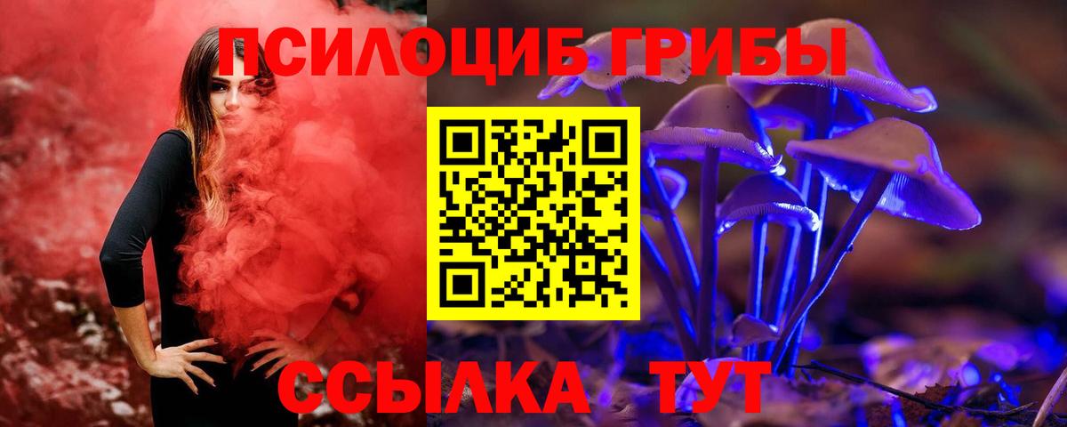Брянск  Псилоцибиновые грибы мухоморы  Вход с VPN 